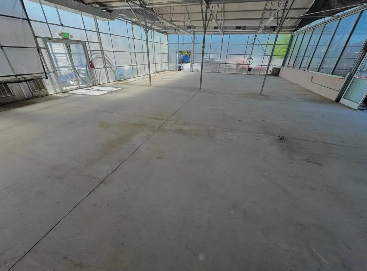 Before polishing: dull, stained bare concrete floor of the same translucent-walled warehouse